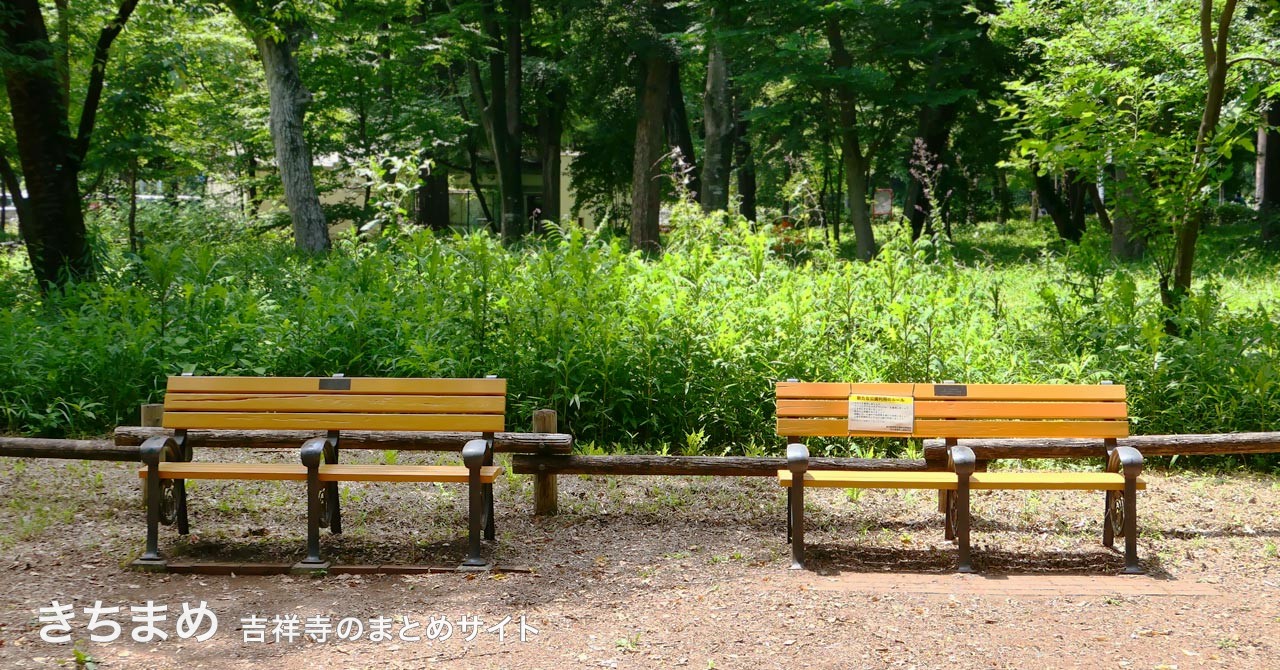 井の頭公園のベンチ