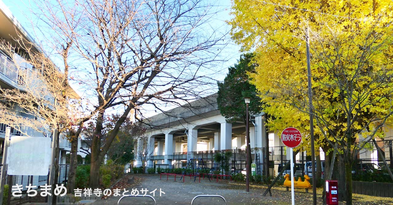 本田児童公園のイチョウ