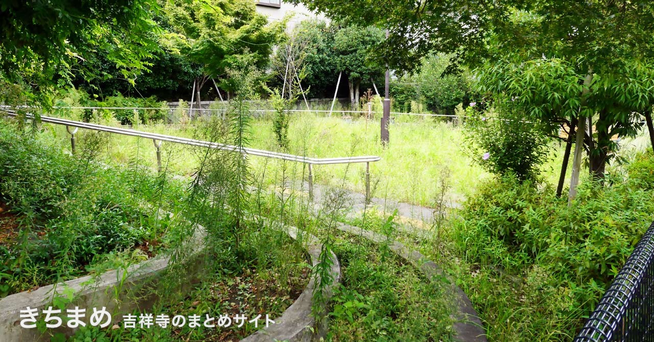 本宿東公園原っぱエリア