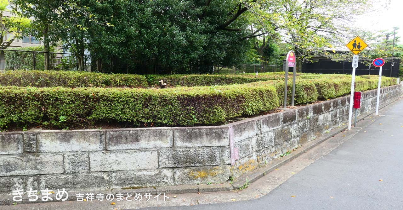南町緑地の全景