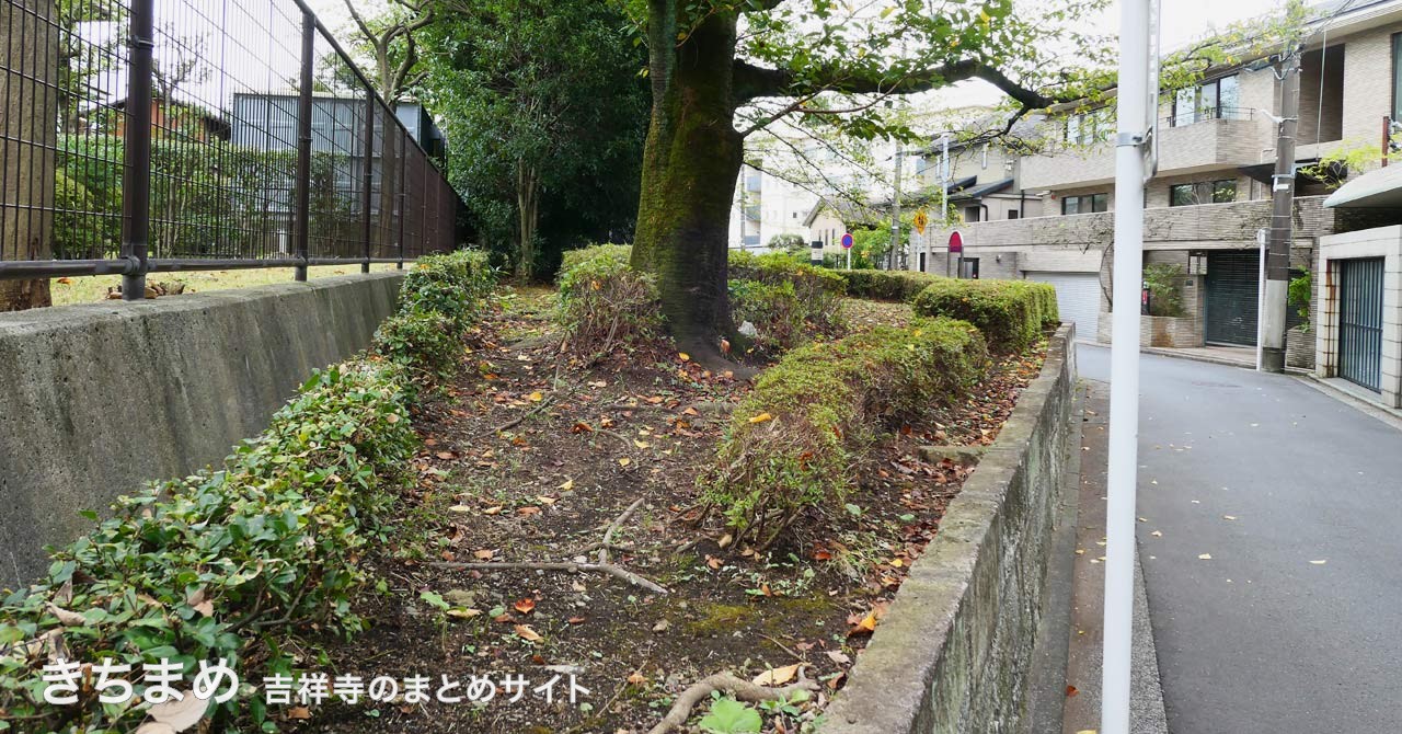 南町緑地を上から