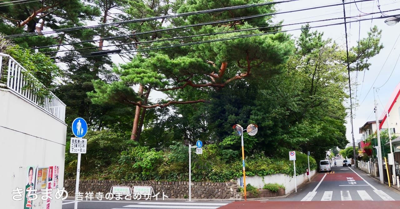 松籟公園ちょっと遠景