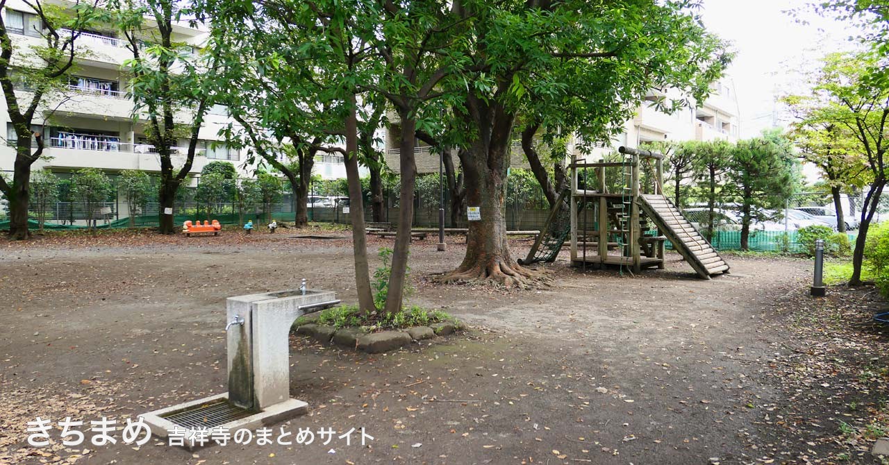 中央通り公園の全景