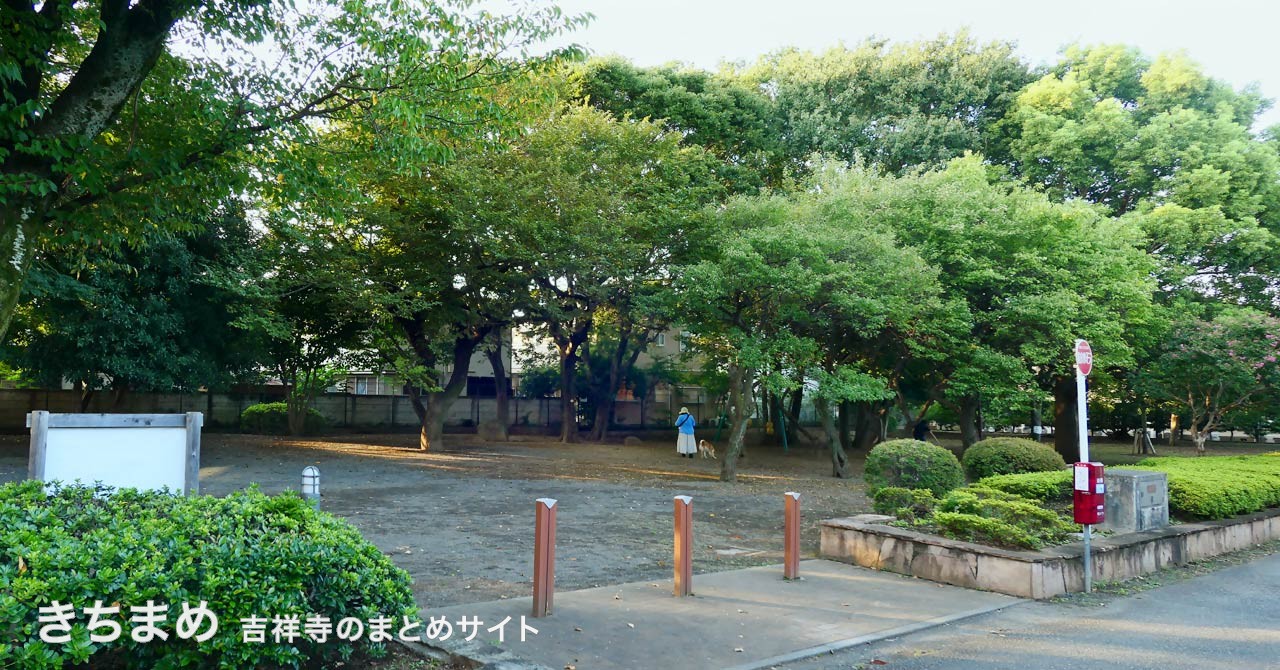 東町公園の雑木林エリア