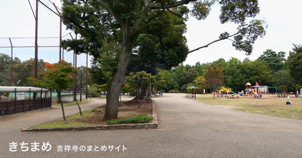 遊びの広場の西側