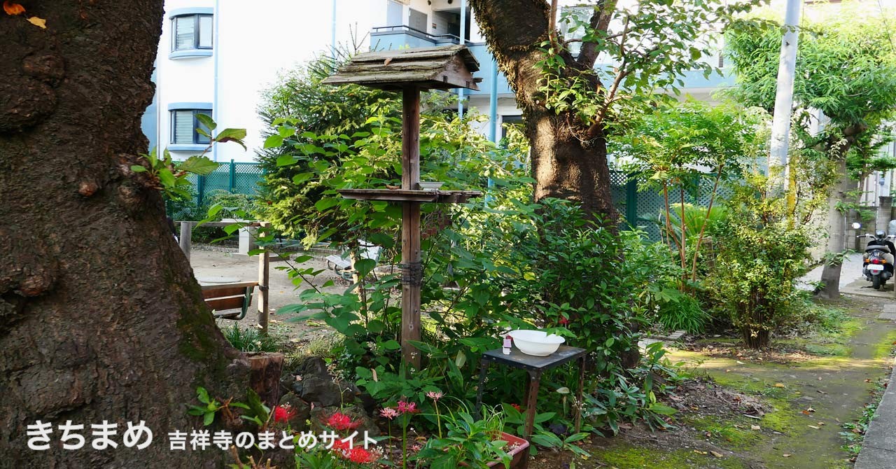 吉祥寺公園の野鳥の餌台