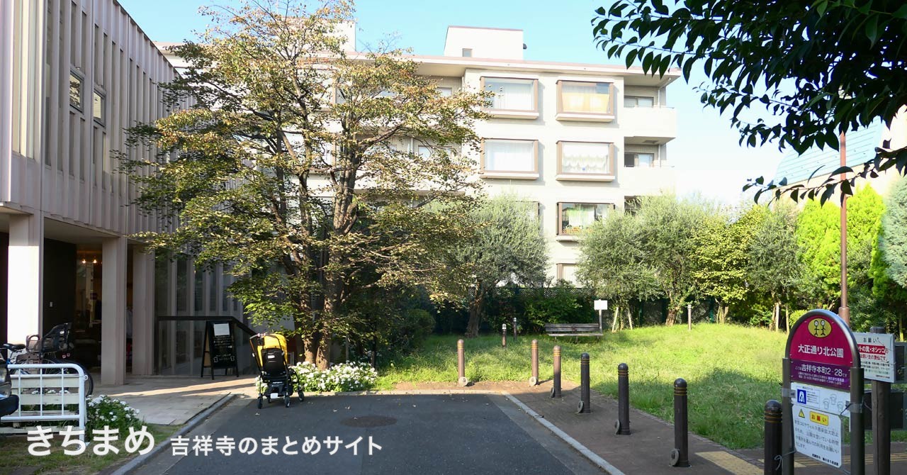 ダンディゾン入り口と大正通り北公園