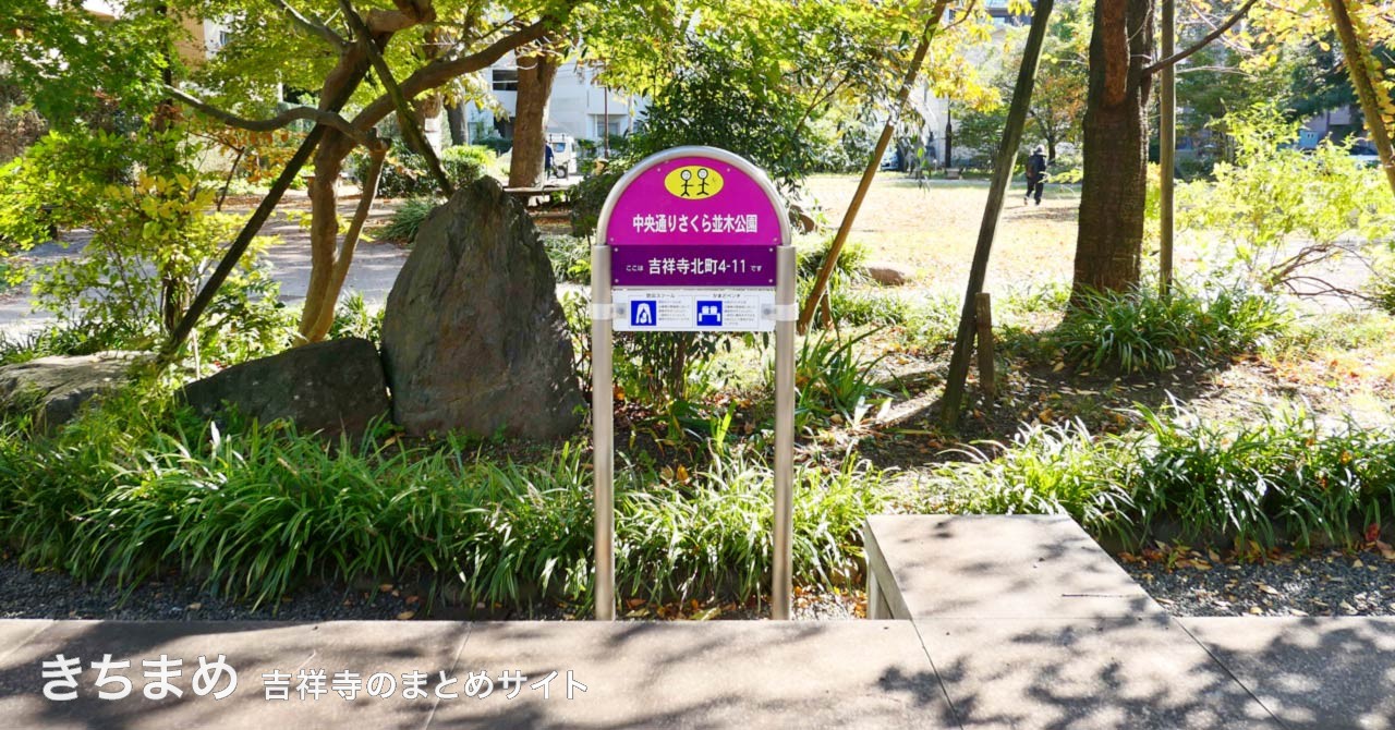 中央通りさくら並木公園のピンクの看板