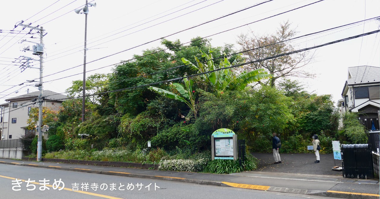 むさしの自然観察園の遠景