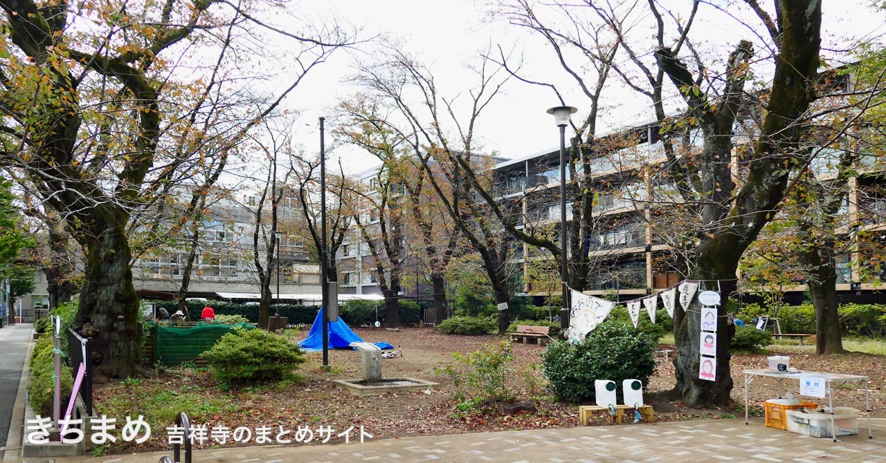 大野田公園の桜