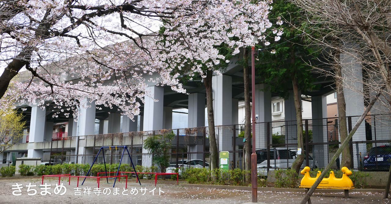 本田児童公園の桜