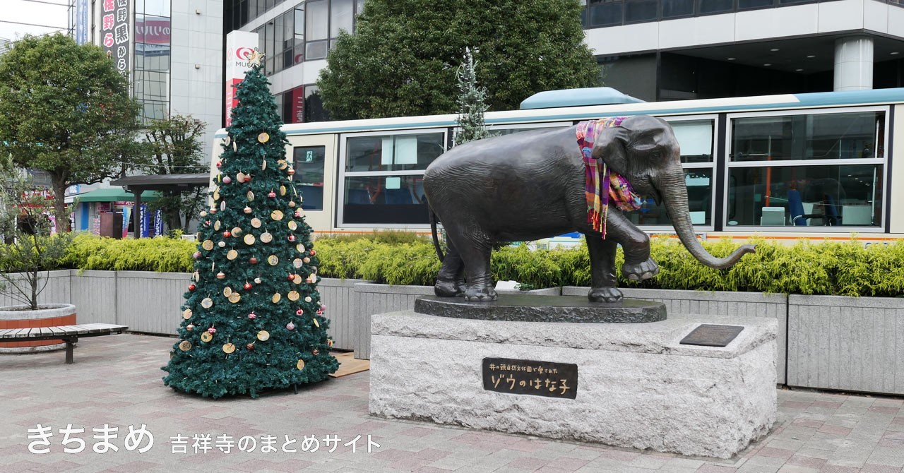 ゾウのはな子とクリスマスツリー