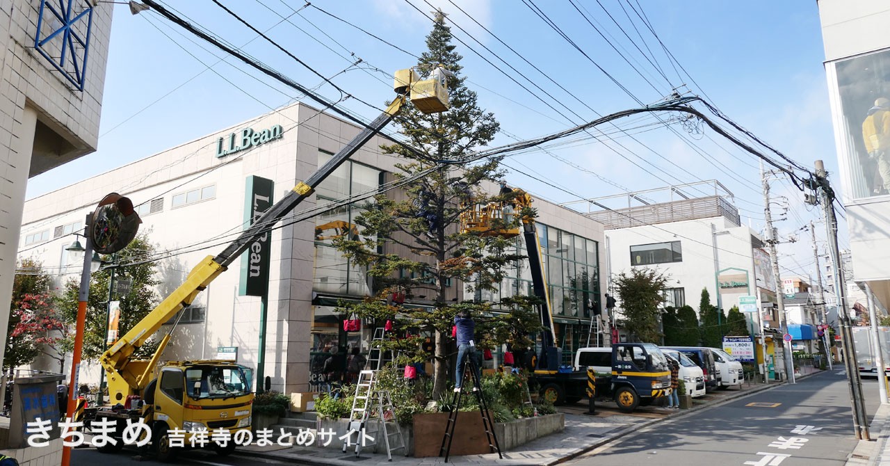 L.L.Beanのクリスマスツリー